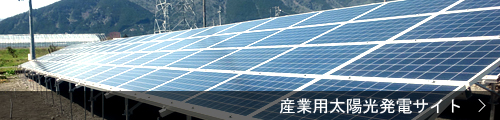 産業用太陽光発電サイト